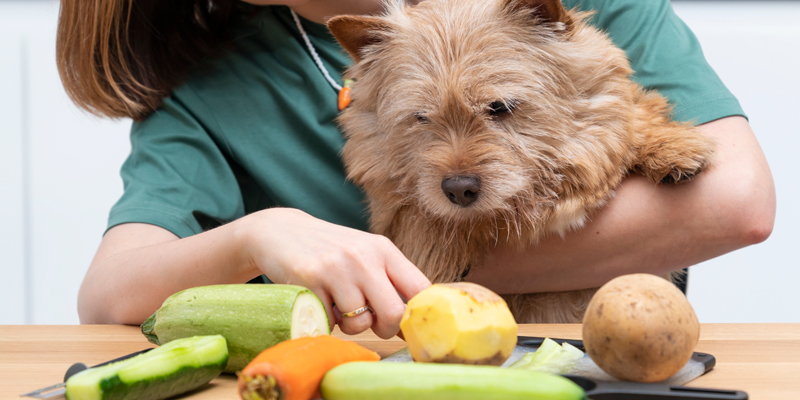 Quali verdure possono mangiare i cani? Le opzioni consentite e vietate - 1