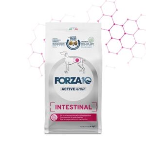 Foto principale Crocchette per Cani Adulti con Problemi Intestinali Forza10 Active Line Intestinal 4kg