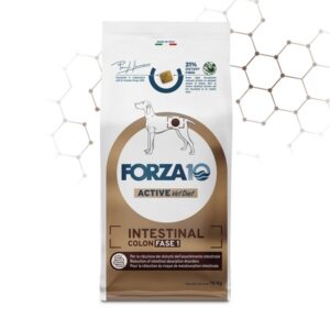 Foto principale Crocchette per Cani Adulti con Problemi Intestinali Forza10 Active Line Intestinal Colon Fase 1 10kg